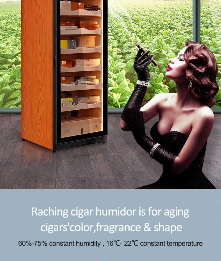 Raching C380A - official 5
