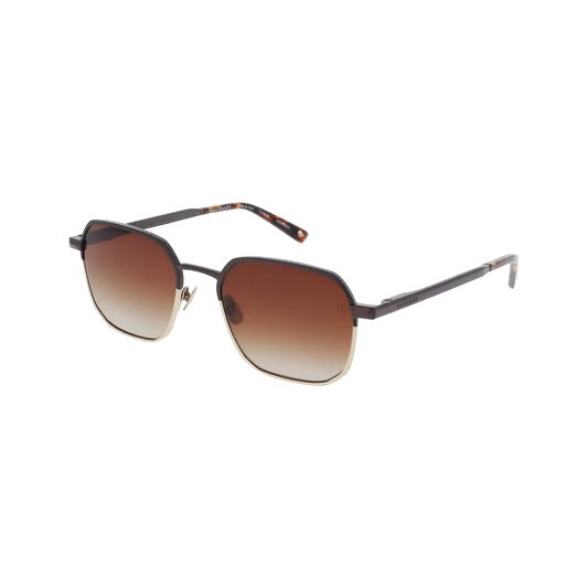 DAVIDOFF Icon Concept - lunettes de soleil brunes