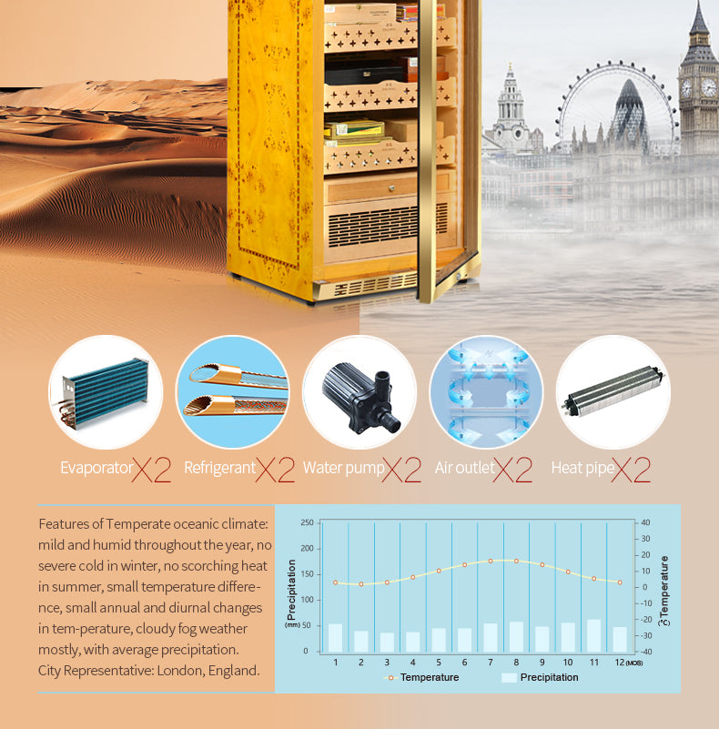 Raching MON3800A - official feature 8
