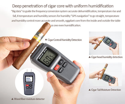 Raching MON3800B dual zone - official 22