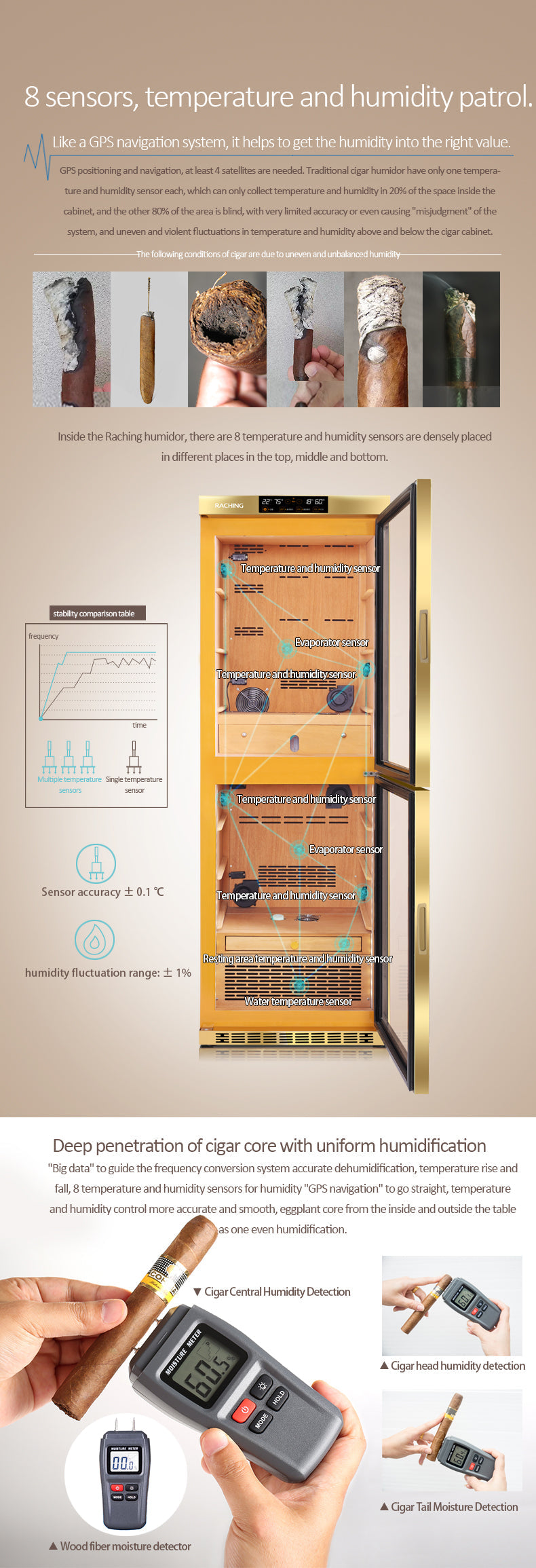 Raching MON3800B dual zone - official 20
